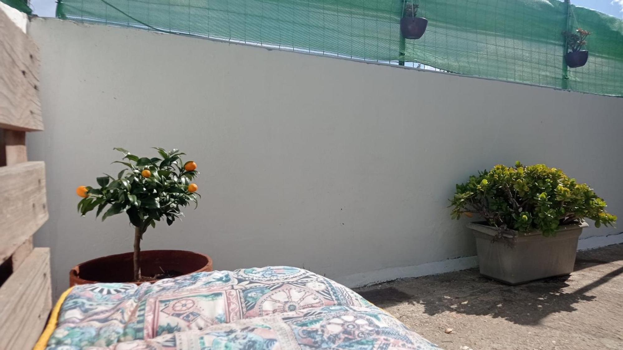 Casa Dalila Διαμέρισμα Μπελβεντέρε Εξωτερικό φωτογραφία