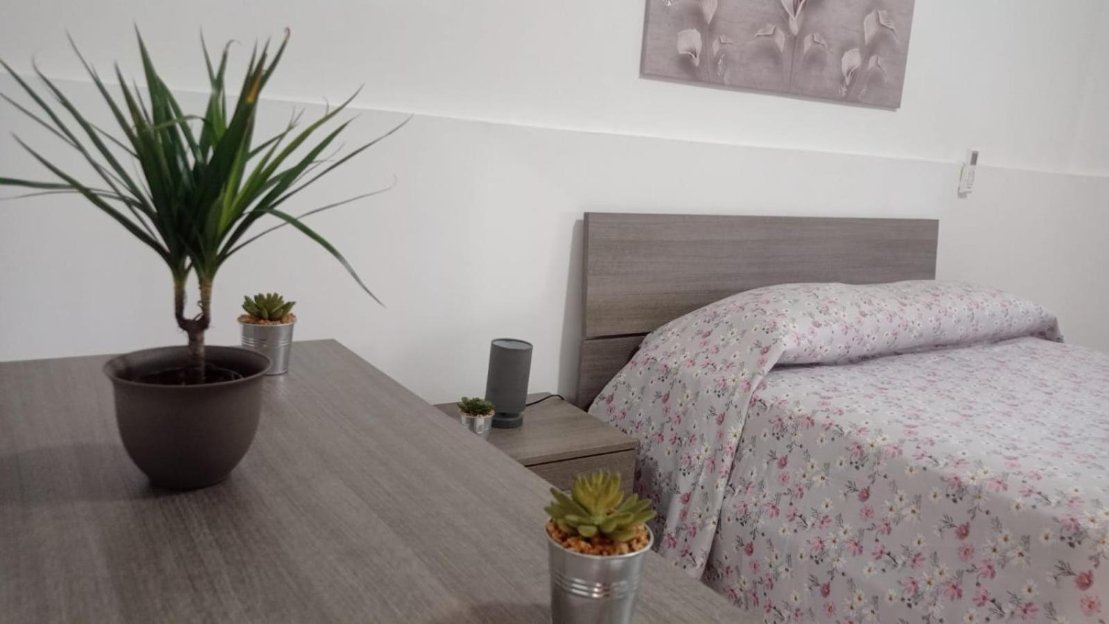 Casa Dalila Διαμέρισμα Μπελβεντέρε Εξωτερικό φωτογραφία